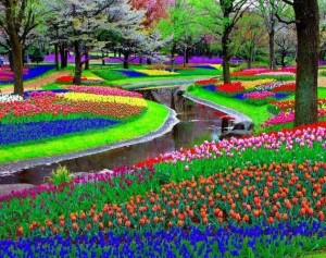 keukenhof_1_reference